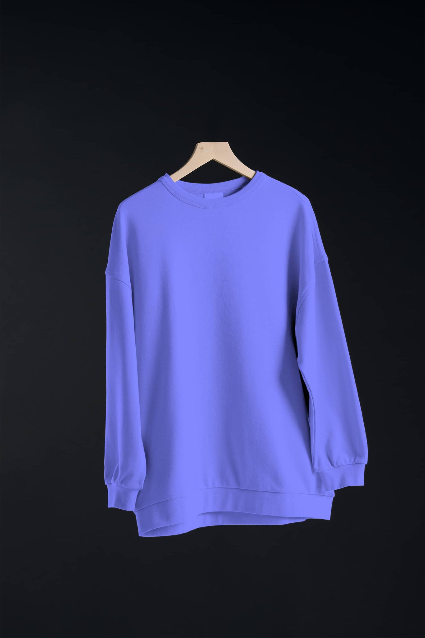 Plain Blue Sweatshirt (Oversized)